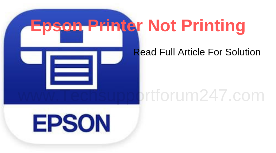Epson Printer Not Printing Issue Fixed!