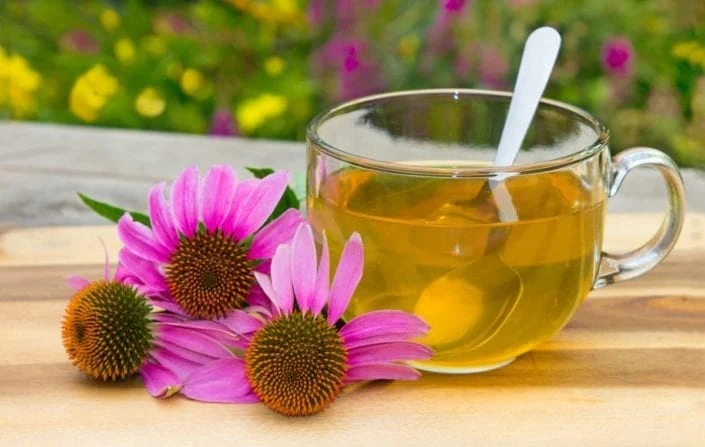 How To Increase Immunity