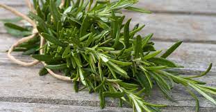 Rosemary Oil Benefits