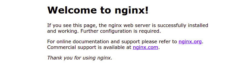 Install Nginx on Ubuntu 20.04 LTS - Ubuntu - TechvBlogs