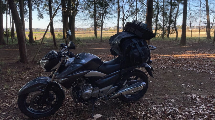 豊里ゆかりの森