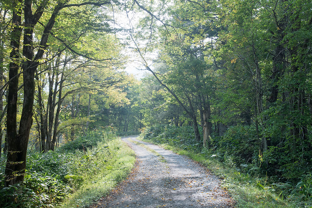 キャンプ場の路面の舗装状況を確認してキャンプ場を決める