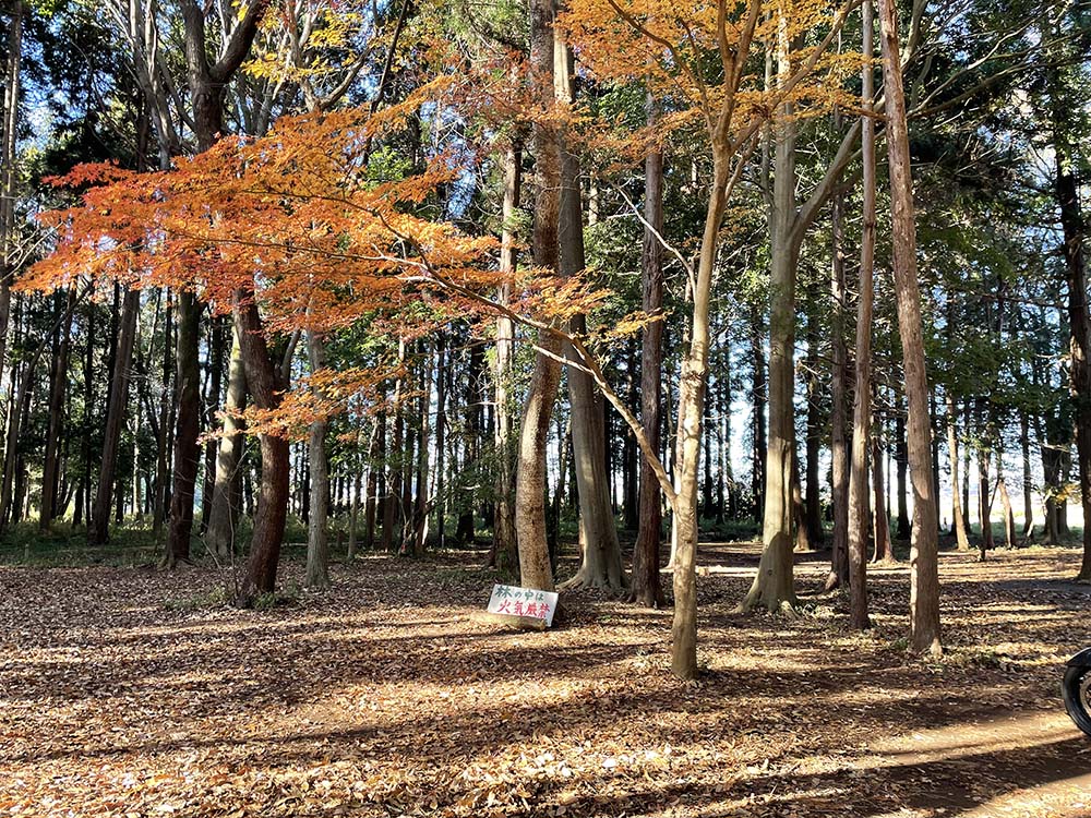 豊里ゆかりの森