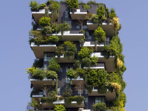 Trees and houses stacked together