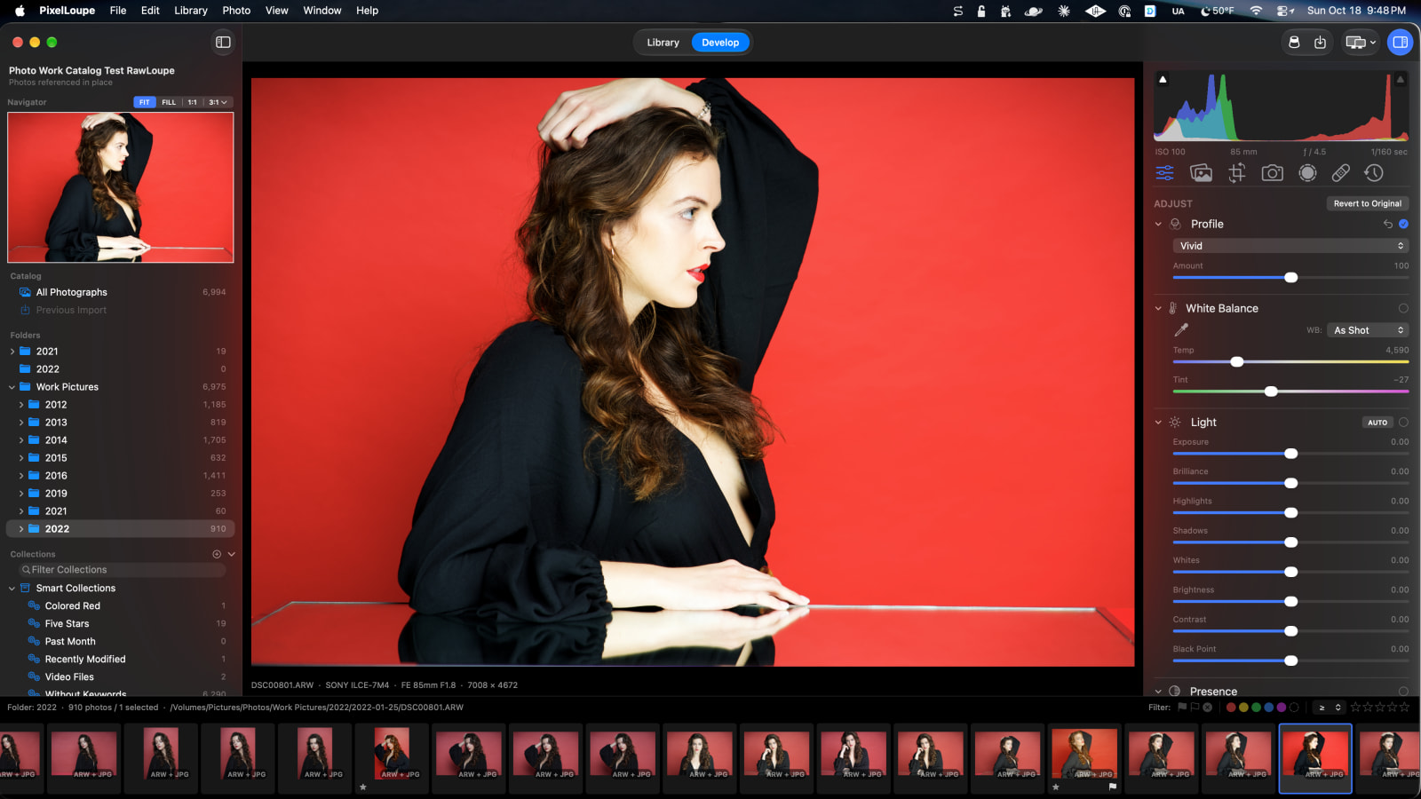 PixelLoupe running on a Mac, editing a raw portrait in Develop with the Profile, White Balance and Light panels