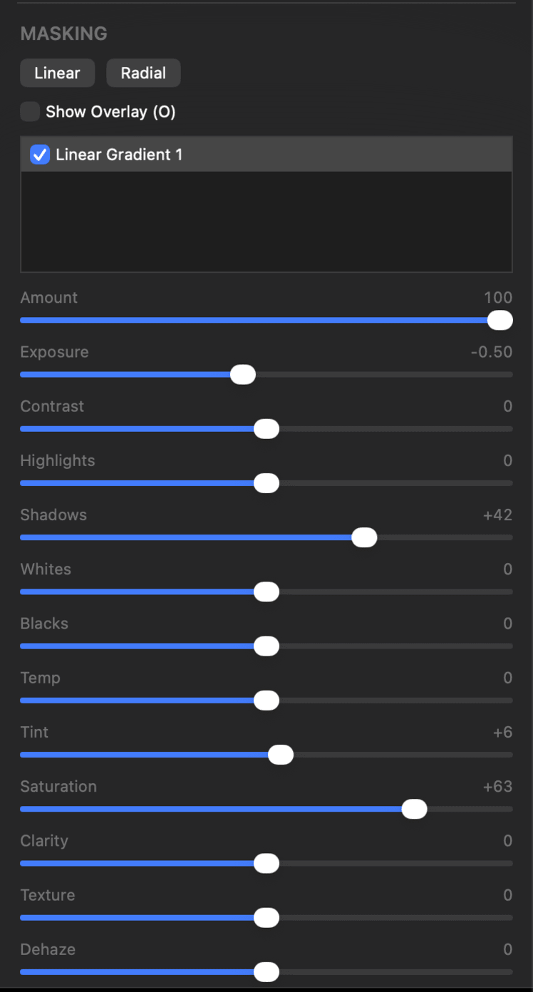 The Masking panel in PixelLoupe’s Develop module