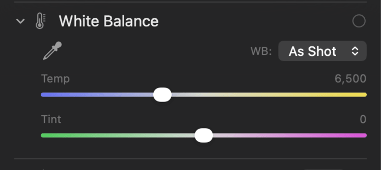 The White Balance panel in PixelLoupe’s Develop module