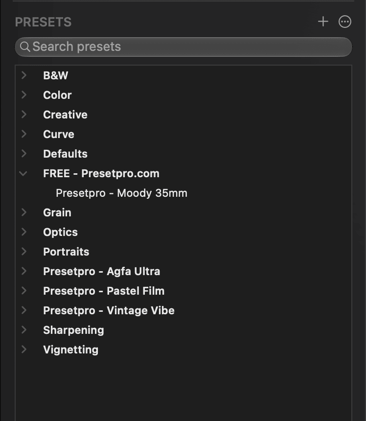 The Presets panel in PixelLoupe’s Develop module