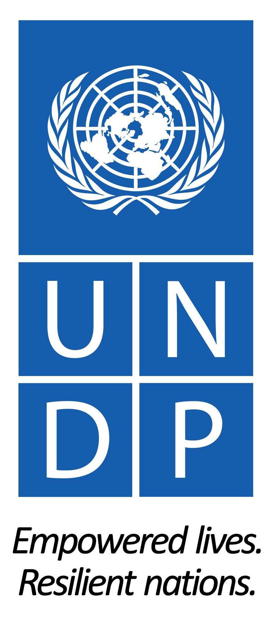 UNDP UNDP