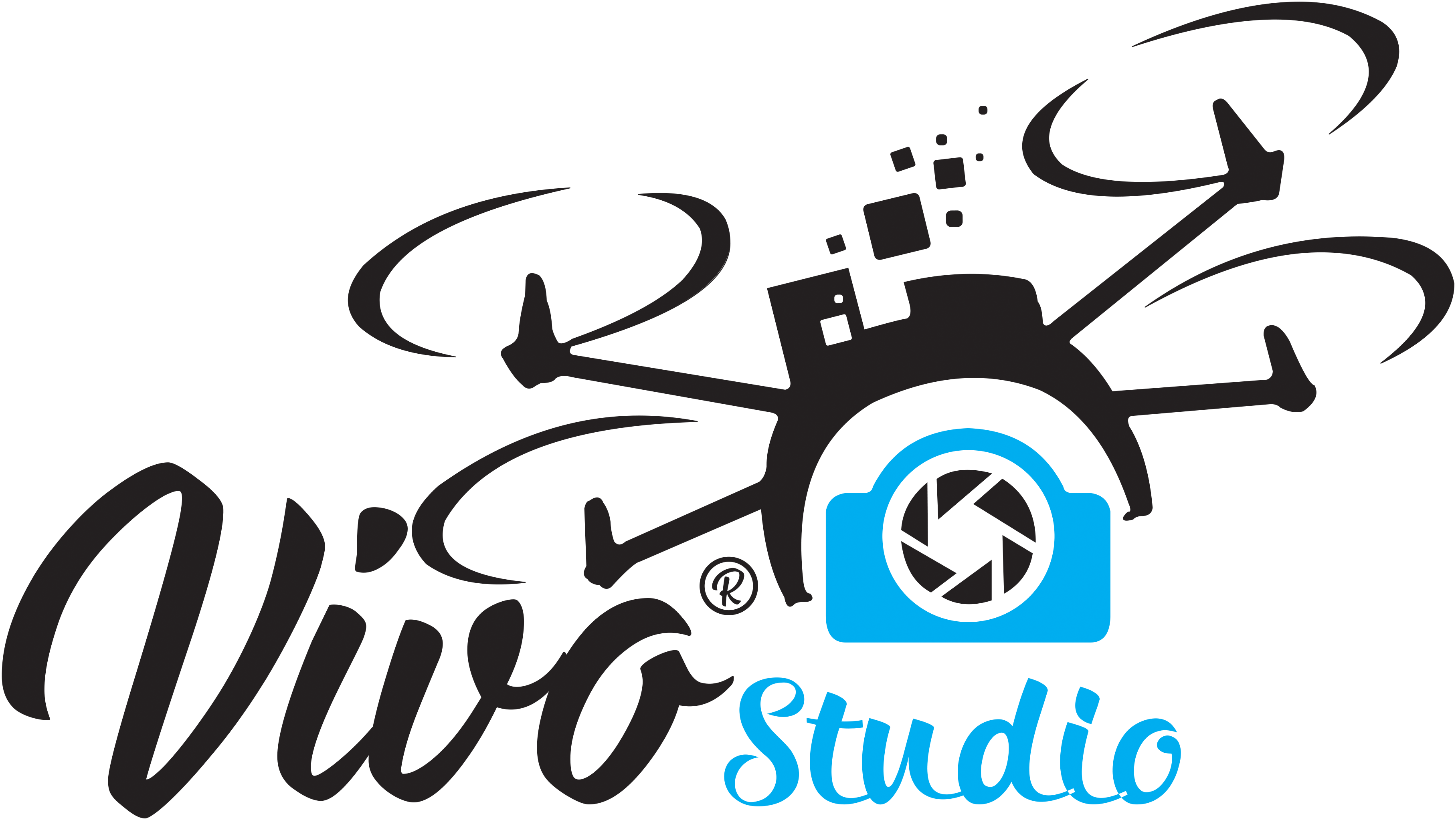 VIVO STUDIO VIVO STUDIO