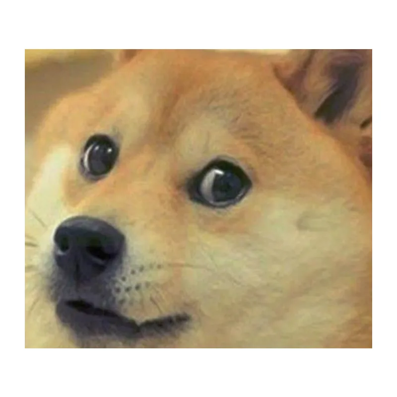 Iconic Doge Meme: Close-up of Shiba Inu Dog Tapestry