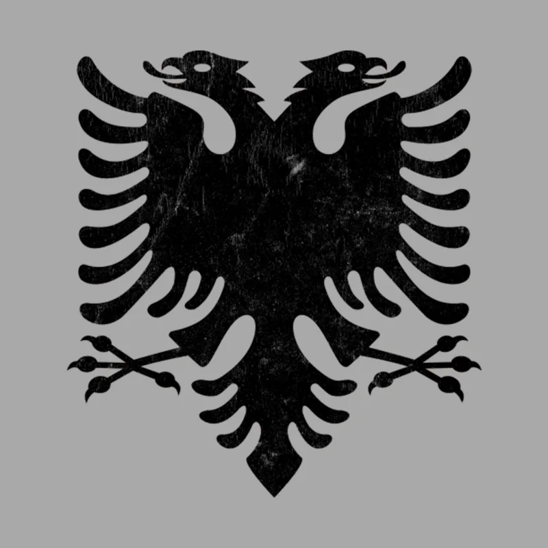 Albania  Faded Vintage Style Eagle Flag Design Female Pullover Hoodie