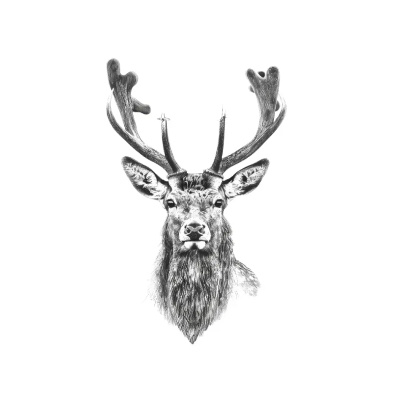 Majestic Deer Portrait: Wildlife Sketch in Black and White Pin