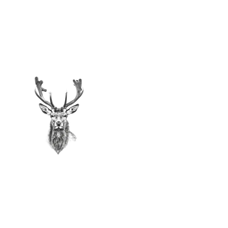 Majestic Deer Portrait: Wildlife Sketch in Black and White Coffee Mug