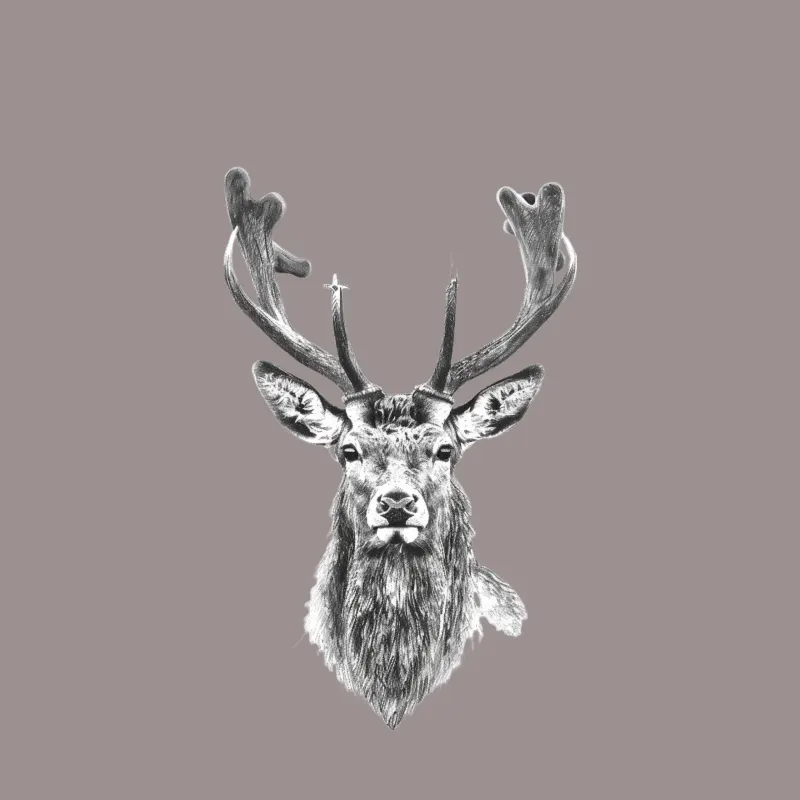 Majestic Deer Portrait: Wildlife Sketch in Black and White iPhone Case