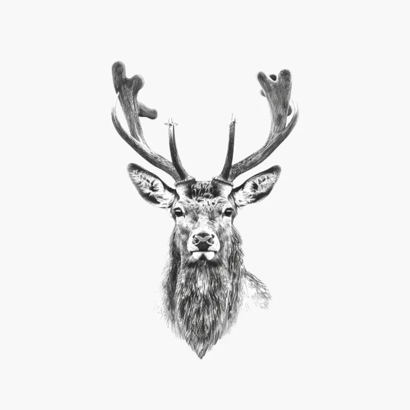 Majestic Deer Portrait: Wildlife Sketch in Black and White Cotton Tote Bag