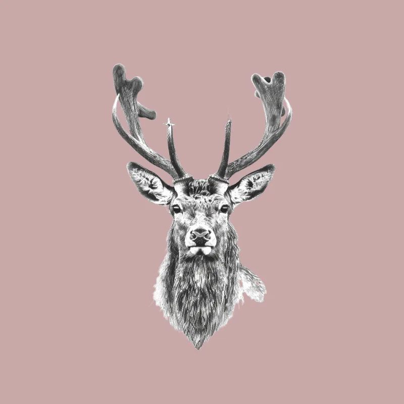 Majestic Deer Portrait: Wildlife Sketch in Black and White Throw Pillow