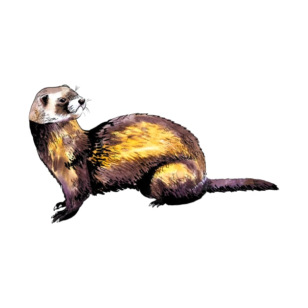 ferret by VicaVeresk