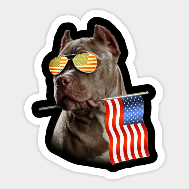 4th of july pitbull usa flag