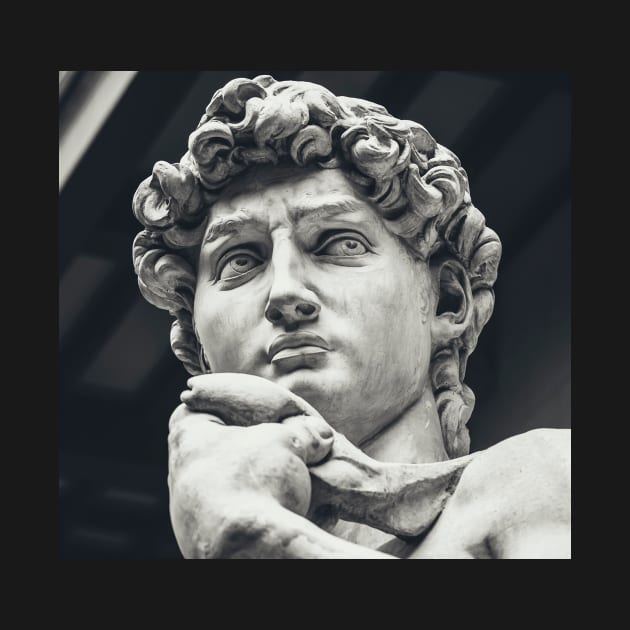 David by Michelangelo by V1adimir