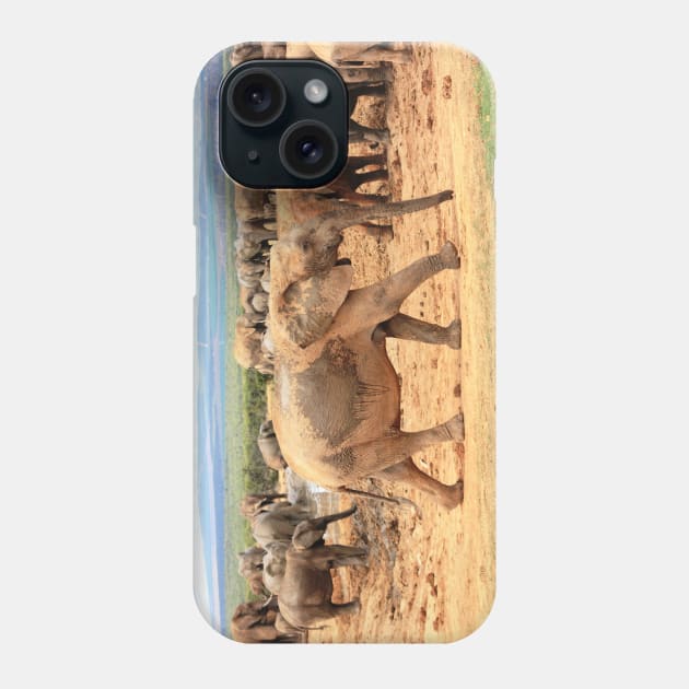 African Wildlife Photography Elephant Cameo Phone Case by PathblazerStudios