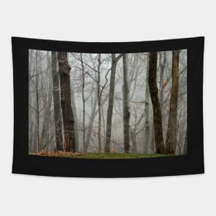 Fog beyond the grassy knoll Tapestry