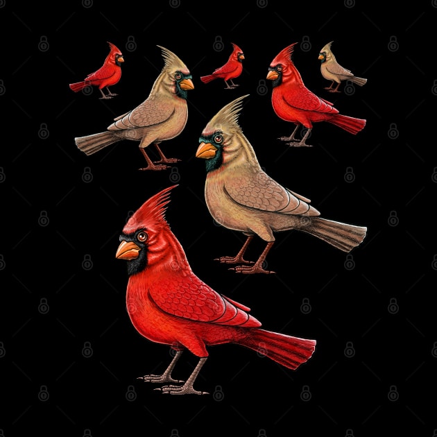 Red Cardinal birds by Artardishop