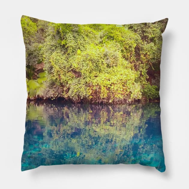 Lagoon Pillow by Astrablink7