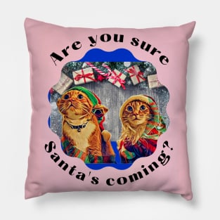 Are you sure Santa's Coming? Pillow