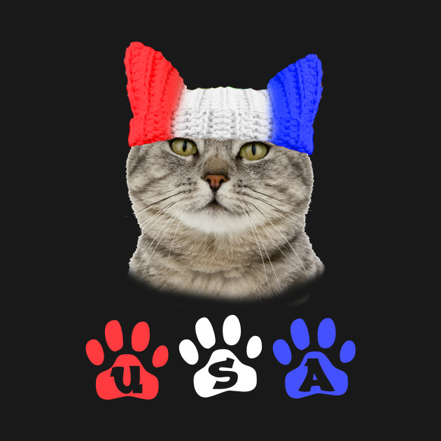 Fourth Of July Cat Usa Cat Fourth Of July Usa Cat Hoodie