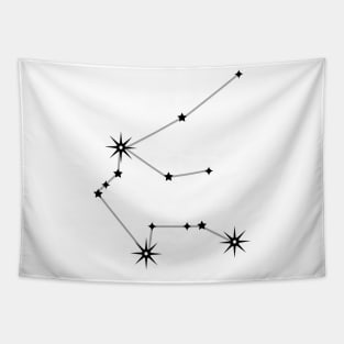 Aquarius Tapestry