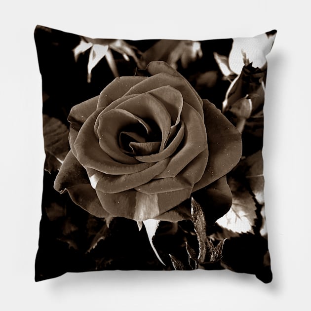 Roses Outside the Store in Black and White 3 Pillow by Ric1926