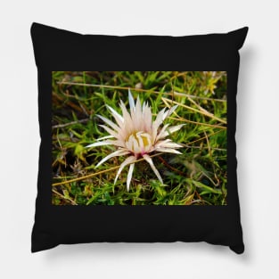 Mountain flower Pillow