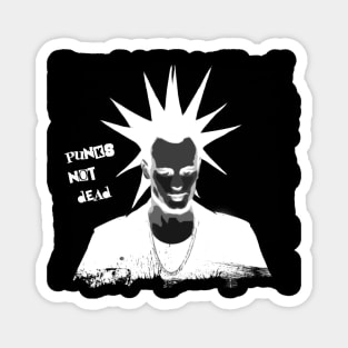 PUNKS NOT DEAD Magnet