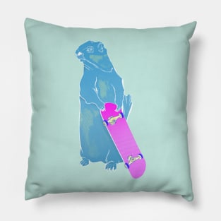 Marmot Skateboarding Pillow