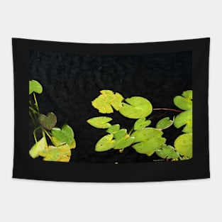 Water lilies Tapestry