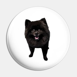 Pomeranian Black Beauty Pin