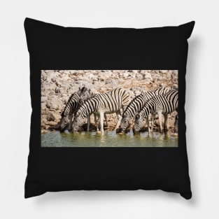 Zebras at the waterhole, Etosha National Park, Namibia Pillow