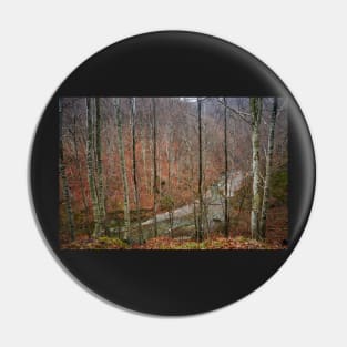 River in the mountains Pin