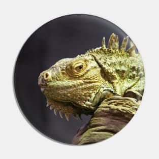 Iguana Pin