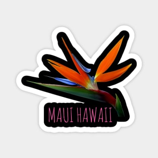 Bird of paradise tropical flower Maui Hawaii Magnet