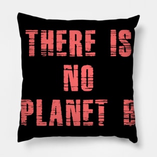 PLANET B 30 Pillow