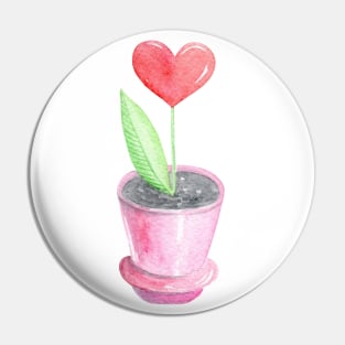 Heart plant in pink pot Pin