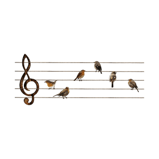 Birds musical score T-Shirt