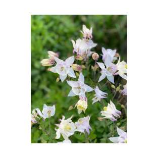 White Spring Flowers T-Shirt