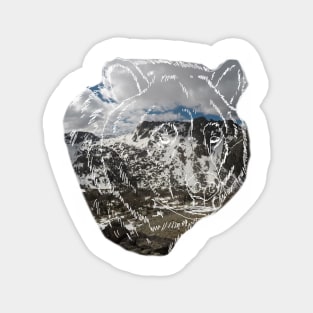 Wind  River Bear Magnet