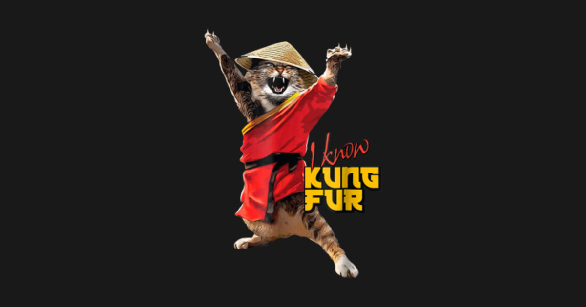 Funny Kung Fu Cat Shirt for Martial Arts Fan I Know Kung Fur - Funny Kung Fu Cat - Magnet ...
