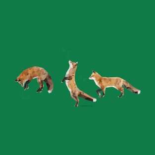 Playful Fox T-Shirt