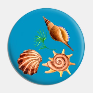 Seashells Pin