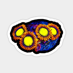 Mandarin Orange Zoanthid Art Magnet